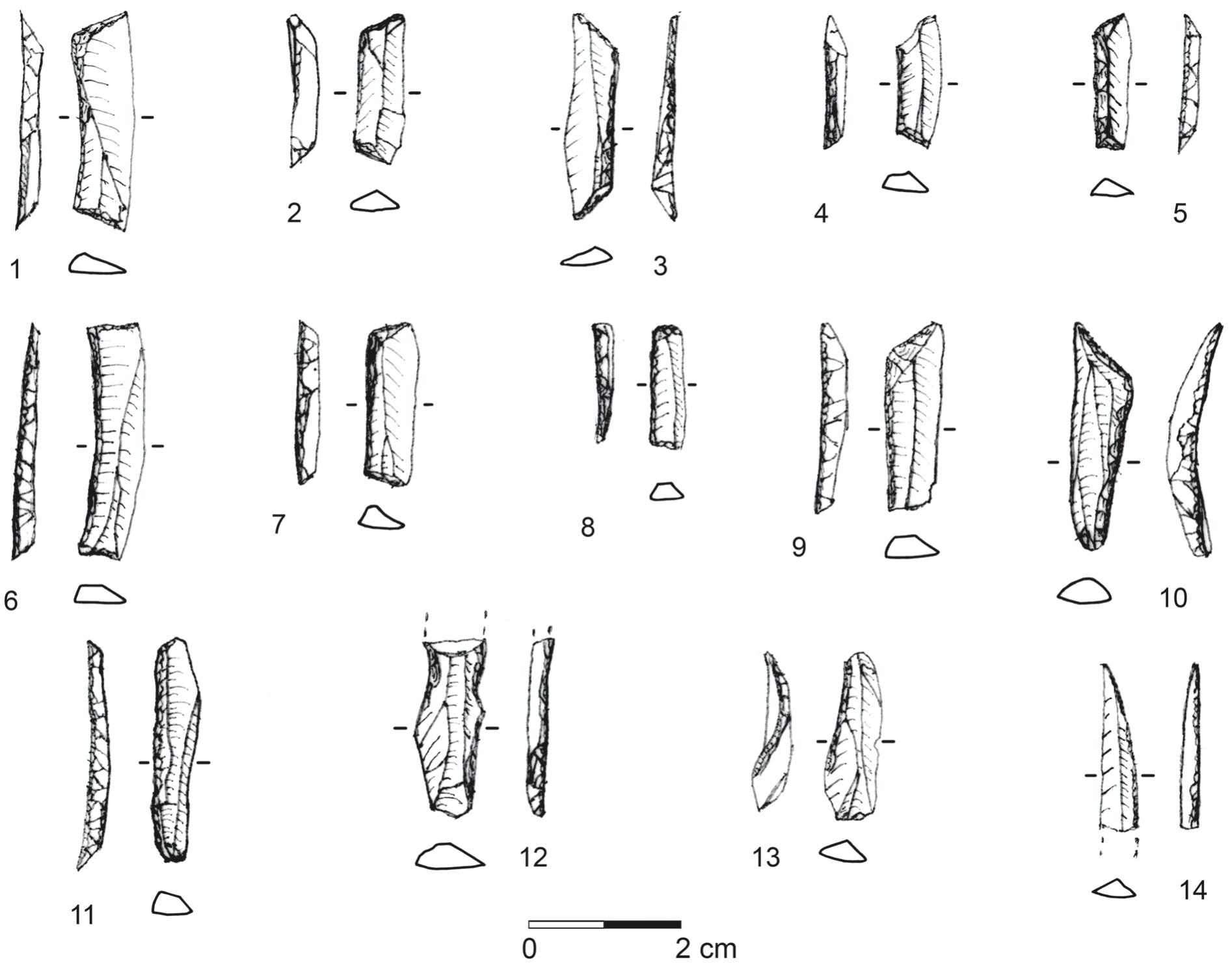 Figure 17. Microliths from the 2014 season. 1-4) trapezes; 5) trapeze/rectangle; 6, 7) rectangles; 8) straight truncated and backed microlith; 9) obliquely truncated and backed microlith; 10) scalene bladelet; 11-13) retouched and backed microliths; 14) curved pointed bladelet.  small single-platform cores; only one core does not have 
