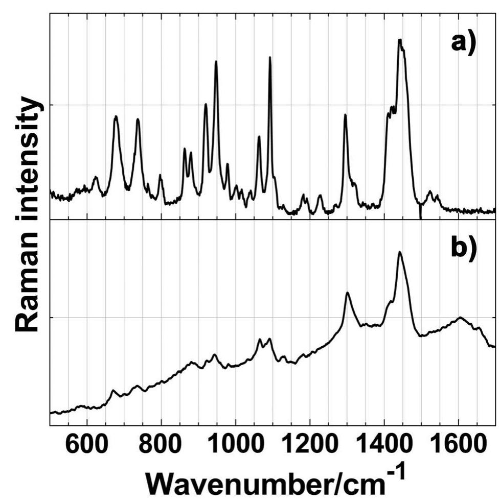 Raman spectra of (a) copper azelate and (b) a green area of