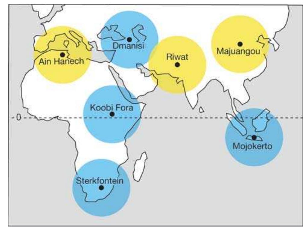 (PDF) An Asian perspective on early human dispersal from Africa