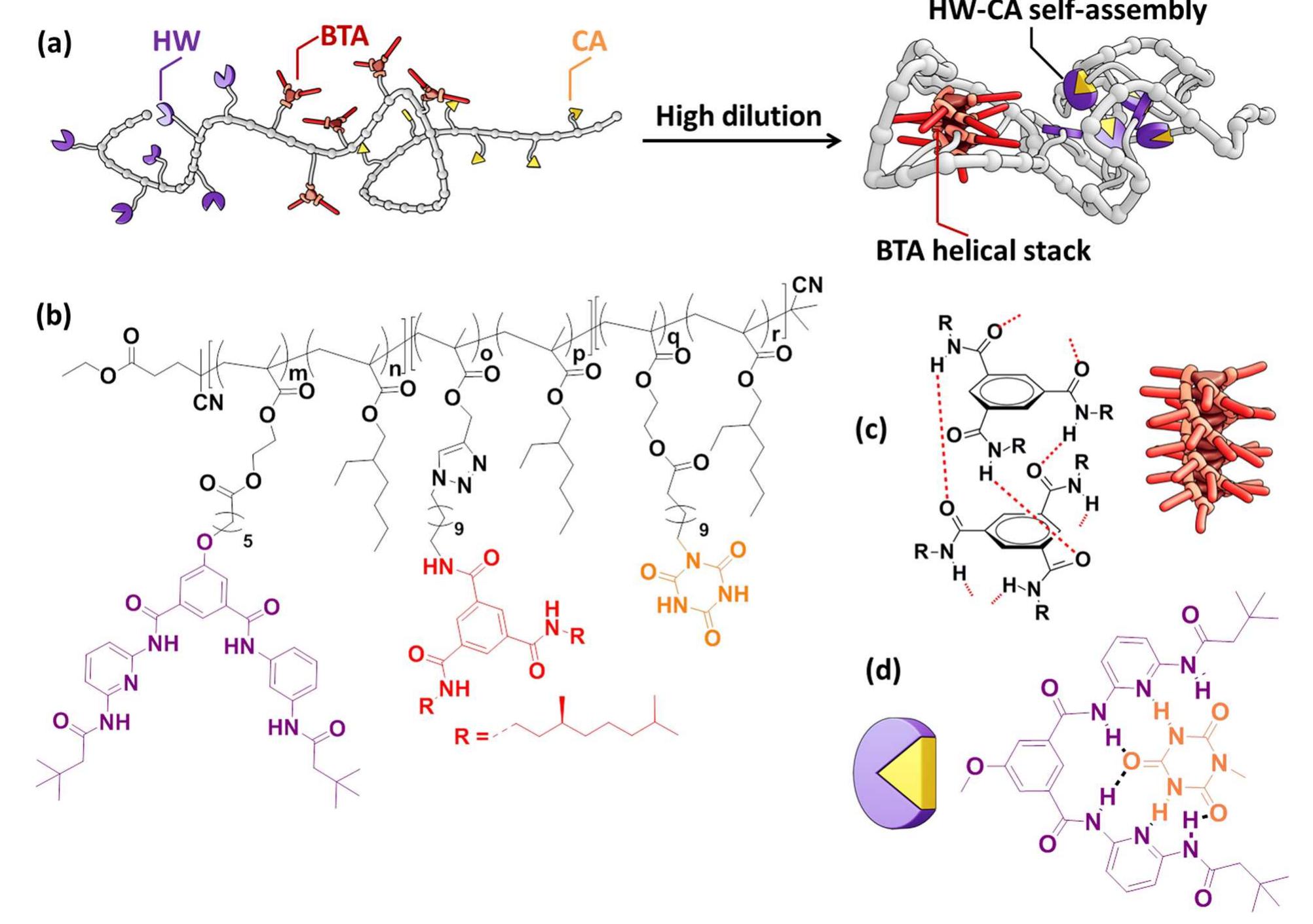 (PDF) Design and Synthesis of Triblock Copolymers for Creating Complex ...
