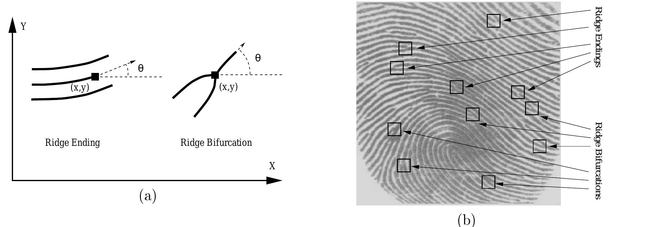(PDF) Fingerprint image enhancement: Algorithm and performance evaluation
