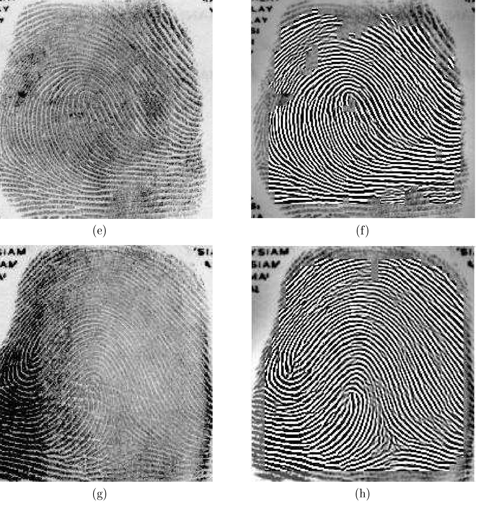 (PDF) Fingerprint image enhancement: Algorithm and performance evaluation