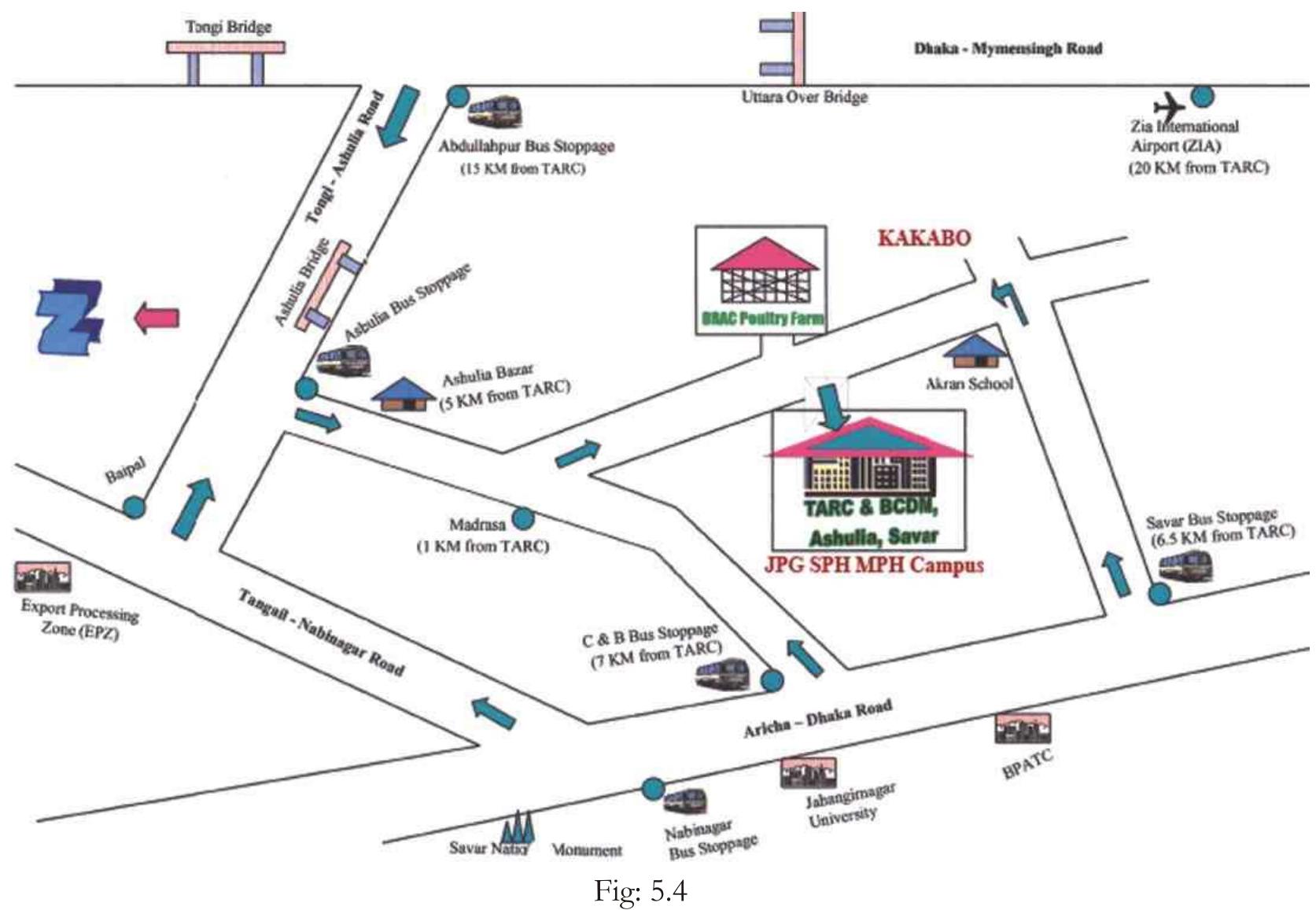 Schematic diagram showing the location of brac tarc in