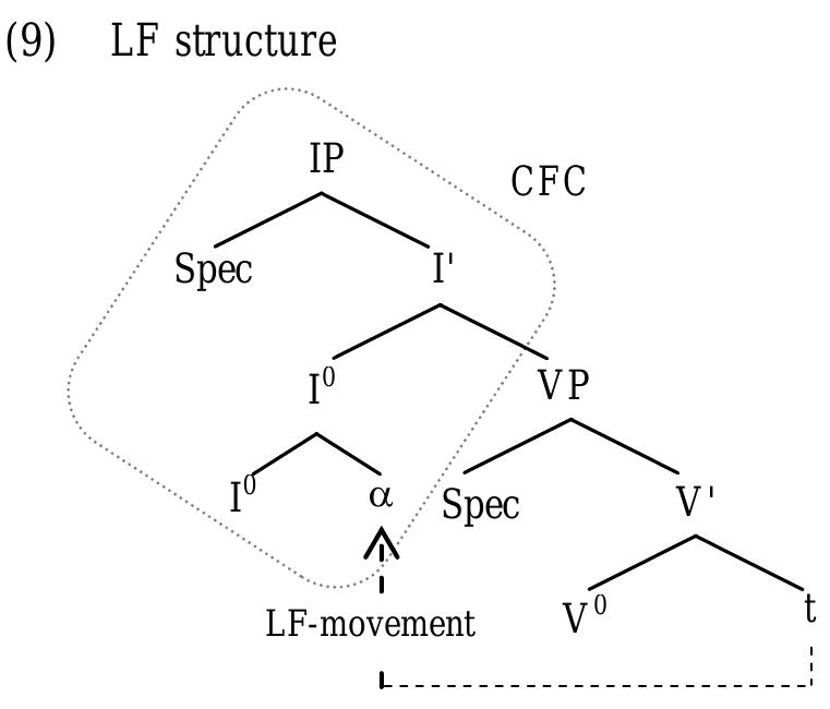 In addition to proposals that rely on parameterized binding domains, there is also another group of studies that are based on LF-movement of pronouns, most of which are fairly parallel to LF-movement analyses of anaphors such as Lebeaux (1983), Pica (1987), Reinhart and Reuland (1991), and Chomsky (1995). Lebeaux (1983) was the first to suggest LF-movement of anaphors to account for the difference between binding conditions of reflexive and reciprocal pronouns in English. Along the same line, to account for long-distance anaphor binding, Pica (1987) proposes that there are two morphologically different types of anaphors: head- and phrasal-anaphors (X° and XP types, respectively). Among these types, monomorphemic anaphors, namely head-anaphors, undergo LF-movement to INFL (T° in current terms) as illustrated in (9). Here, the binding domain of a is the Complete Functional Complex (CFC) that includes both o and its governor as defined in (10).  