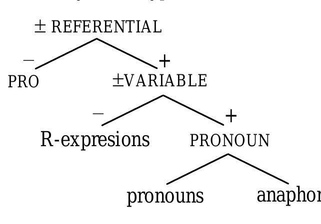 According to (26), pronouns and anaphors are included in the super-category PRONOUN, which is  [ +REFERE  NTIAL, +VARIABLE]. For ease of reference, we consider the super-category PRONOUN a feature, i.e.  [+PRONOUN], that pronouns and anaphors have in common. So, we assume that it is this super-categorial  feature o functional  f pronouns/anaphors which undergoes movement to a functional head. We suggest that the | head that this feature needs to adjoin is a non-defective verbal head and that it cyclically moves  passing al  1 functional heads in its way until it reaches to the head that it targets. Once it adjoins to such a  head it stops there. 