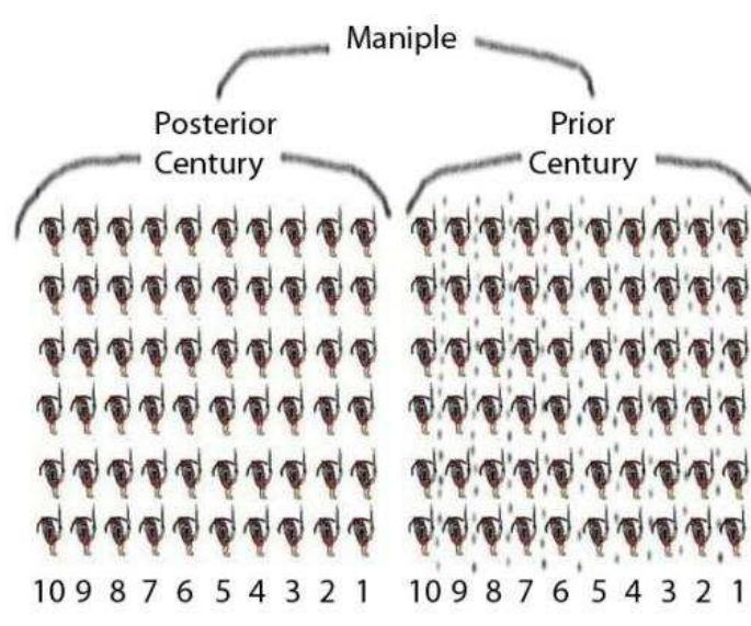 Ancient Rome Maniple Roman Maniple Diagram