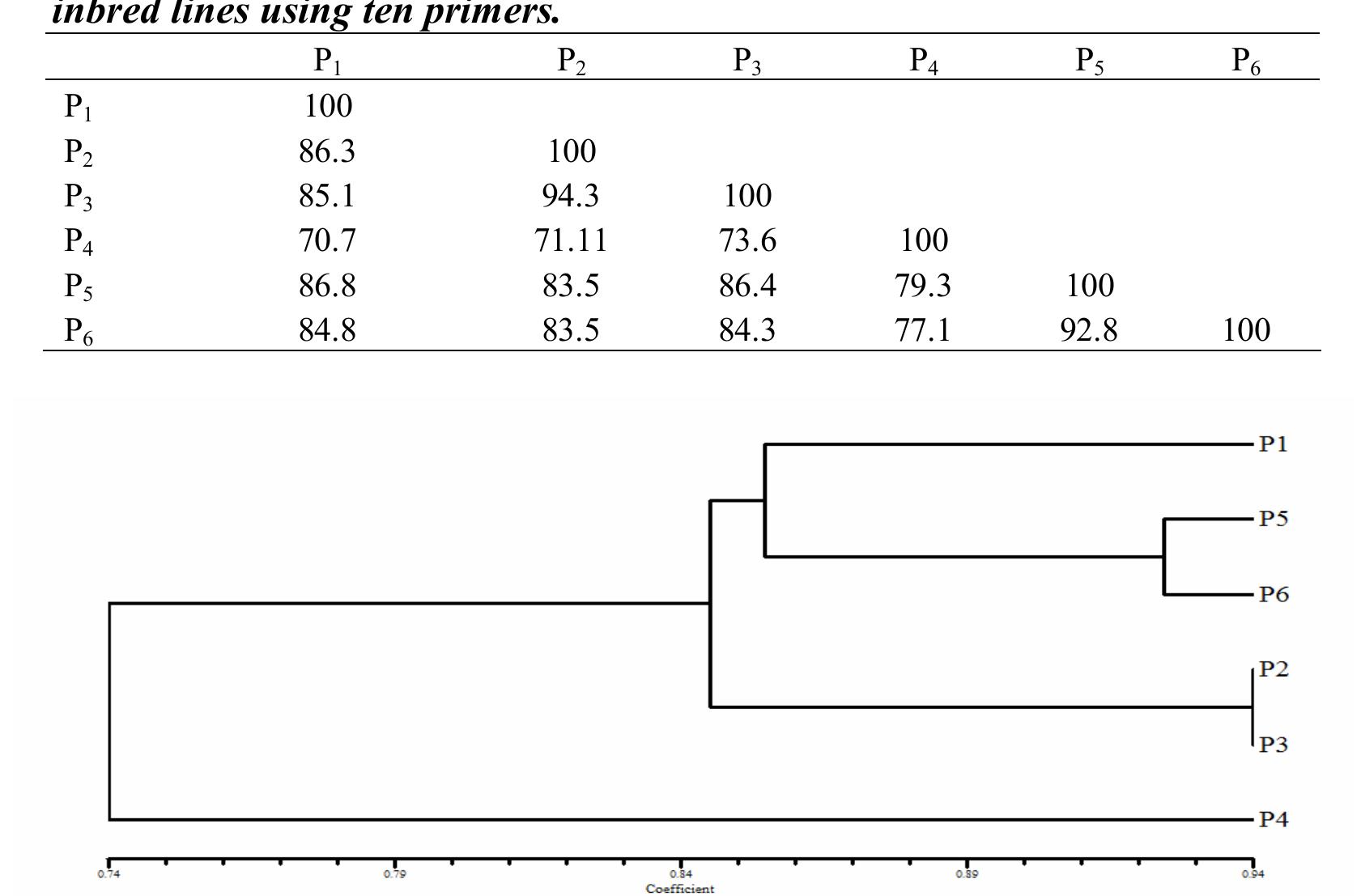 (PDF) Genetic diversity of maize inbred lines using ISSR markers and ...