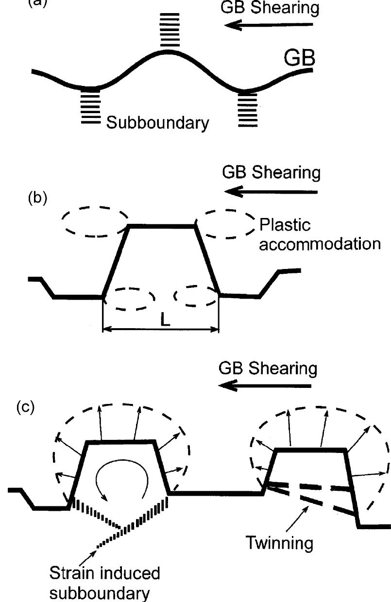 Schematic representation of the nucleation of drx grain [2].