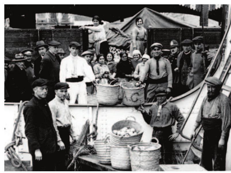 Figure 2 - Orange Exportation 1909 