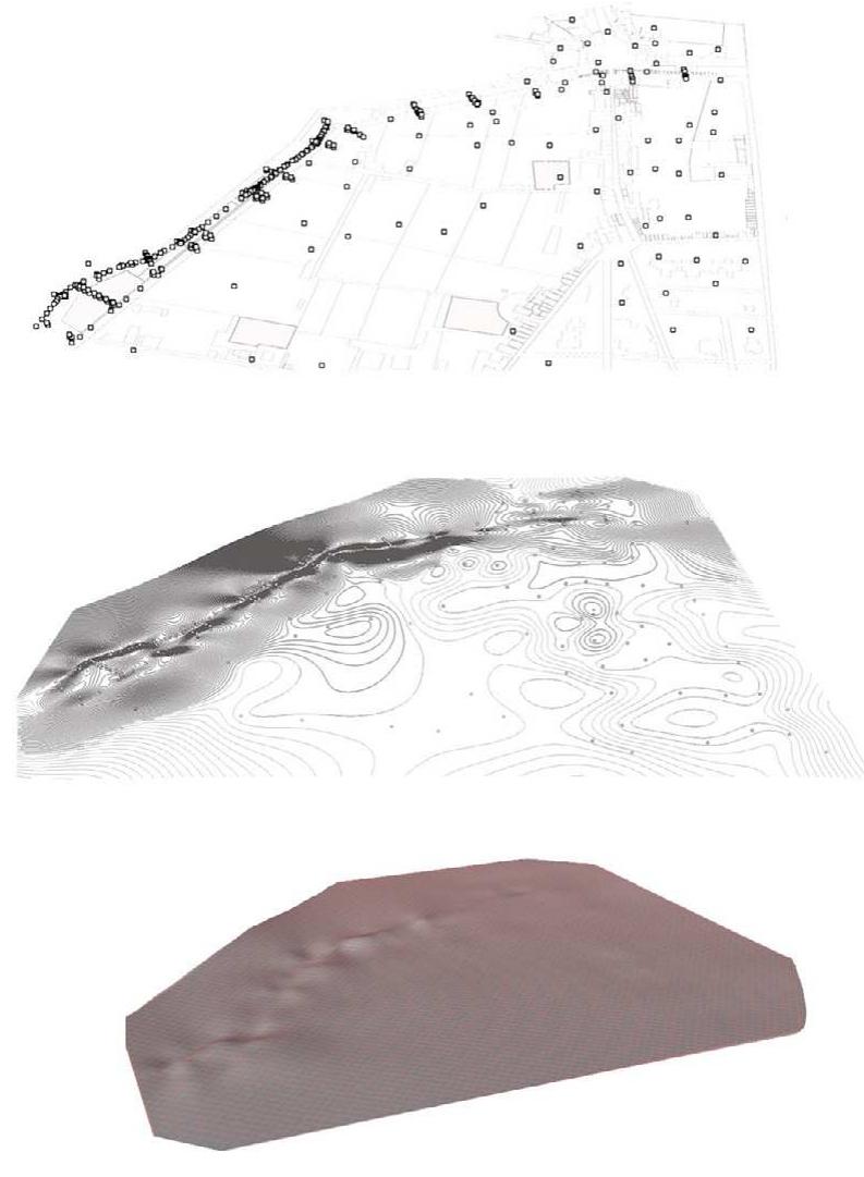 Figure 14 — Stages of the construction of the soil sur- face before the works. 