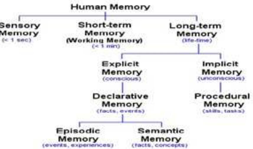 Figure 1 - from Free, cued and serial recalls