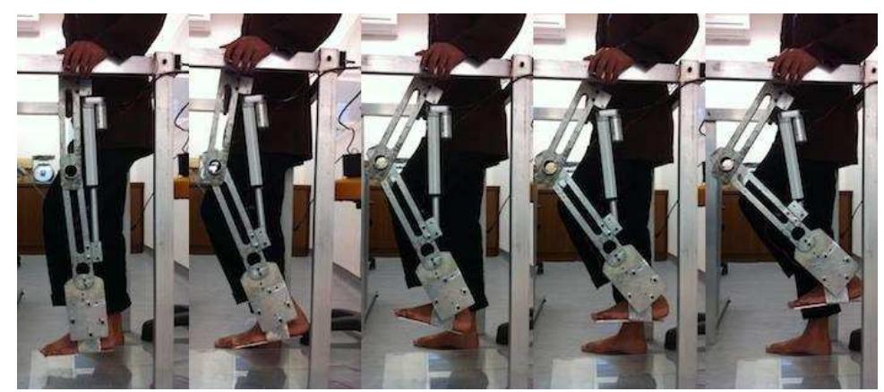 (PDF) Preliminary Investigation on the Development of a Lower Extremity ...
