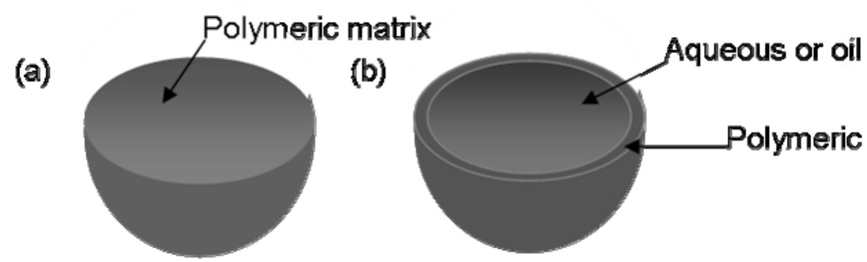 FERNANDES LE-1H \"HEART\" Ann and Nancy レア PDF) Nanocosmetics and Nanomedicines: New Approaches for