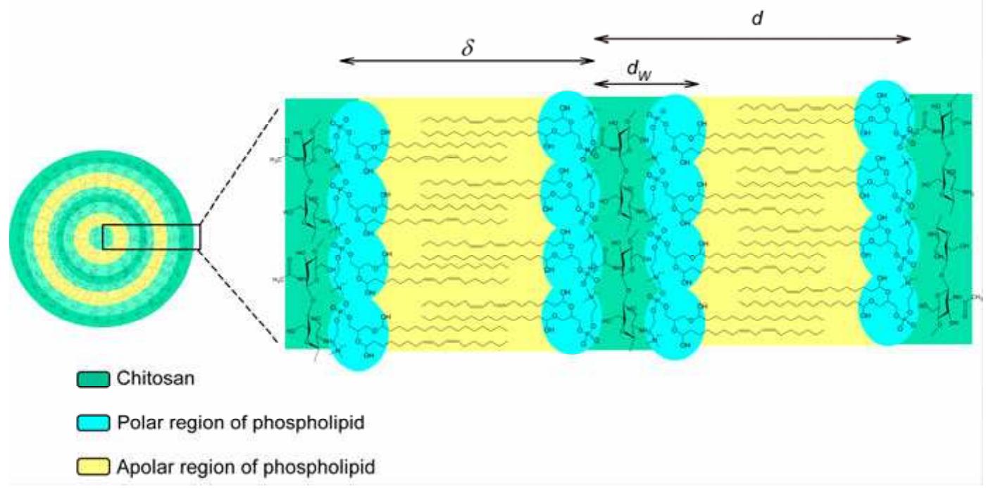 FERNANDES LE-1H \"HEART\" Ann and Nancy レア PDF) Nanocosmetics and Nanomedicines: New Approaches for