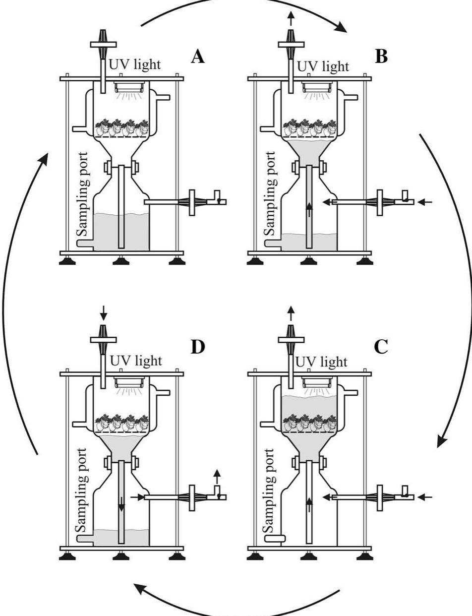 Figure 3 - from Temporary immersion systems in plant