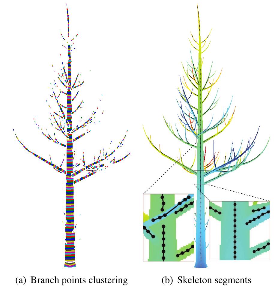 (PDF) Tree Skeleton Extraction from a Single Range Image