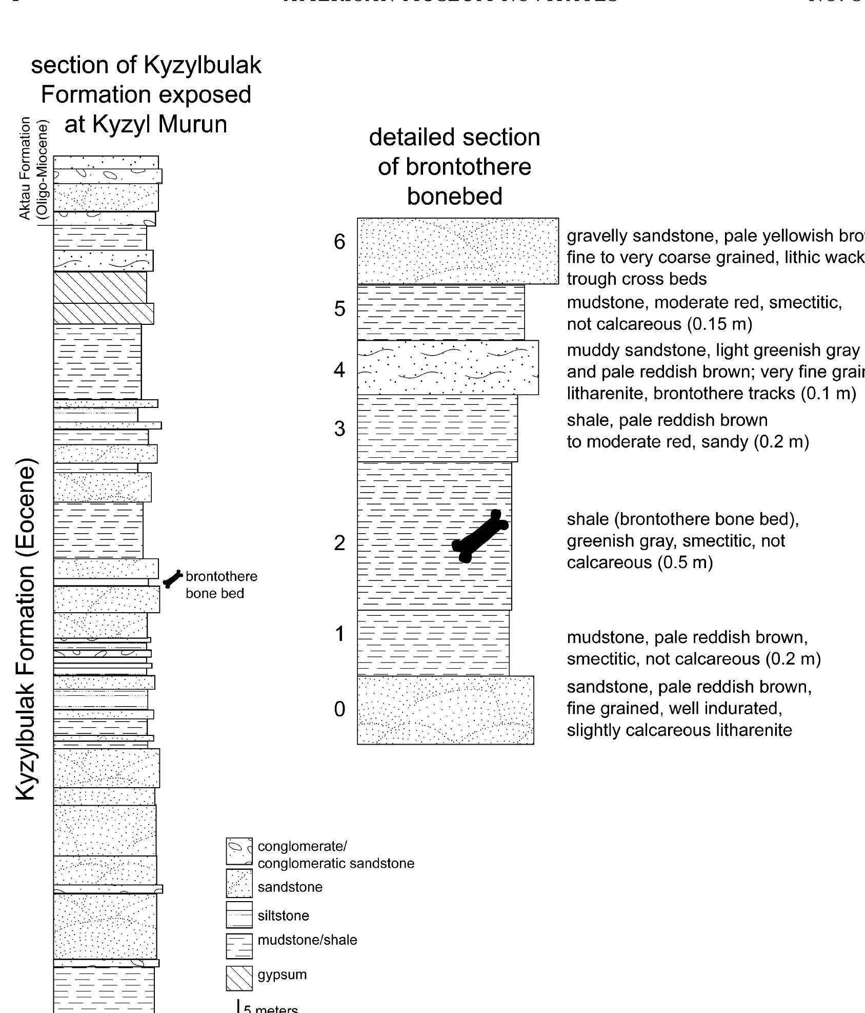 (PDF) A New Brontothere (Brontotheriidae, Perissodactyla, Mammalia ...