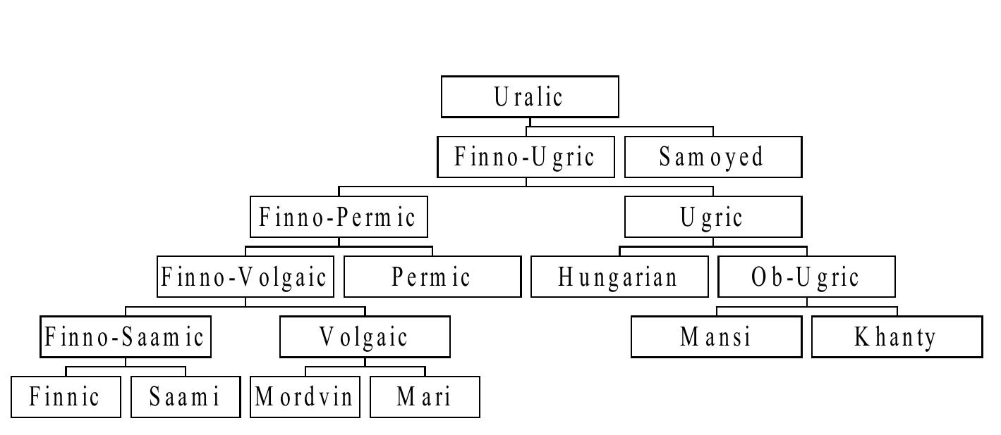 ‘igurei1 The traditional family tree of the Uralic branches.  The language contact situation in prehistoric Northeastern Europe 