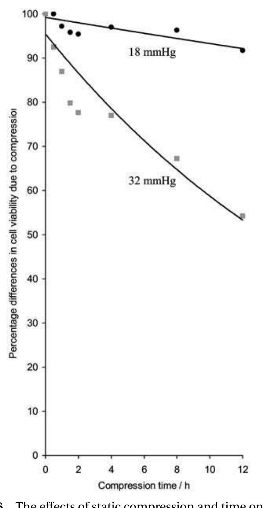 (PDF) Compression-induced damage in a muscle cell model in vitro