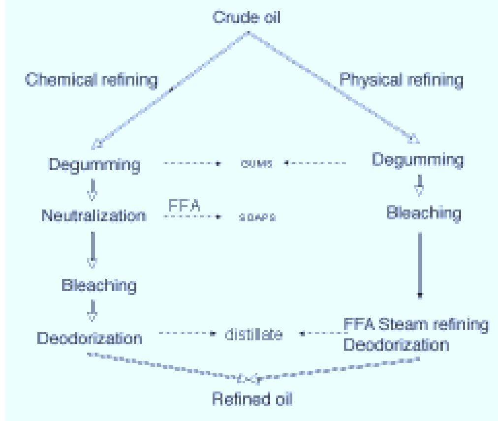 (PDF) Influence of refining of vegetable oils on minor components