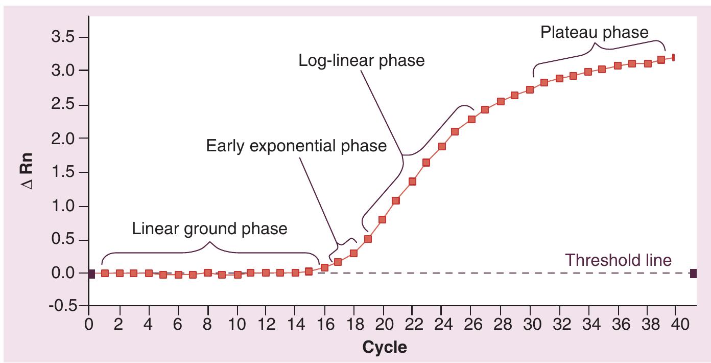 Figure 1 - from In-house HIV-1 RNA real-time RT-PCR assays: