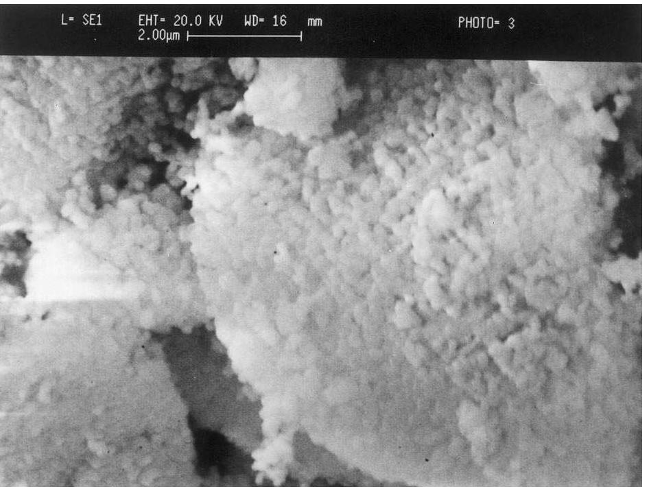 Sem micrograph of the pellet sintered at 1300°c for 8 h in