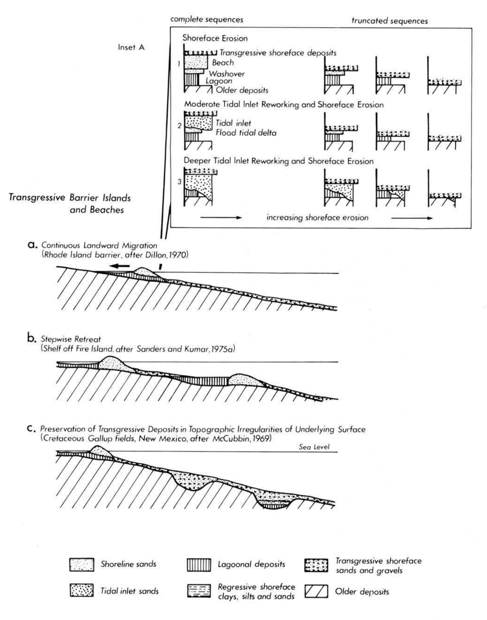 (PDF) A review of wave-dominated clastic shoreline deposits