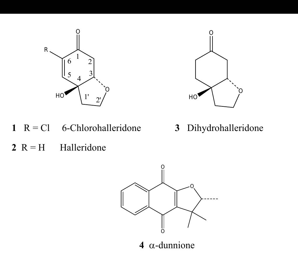 rb1 Bioactive compounds of Streptomyces: Biosynthesis to