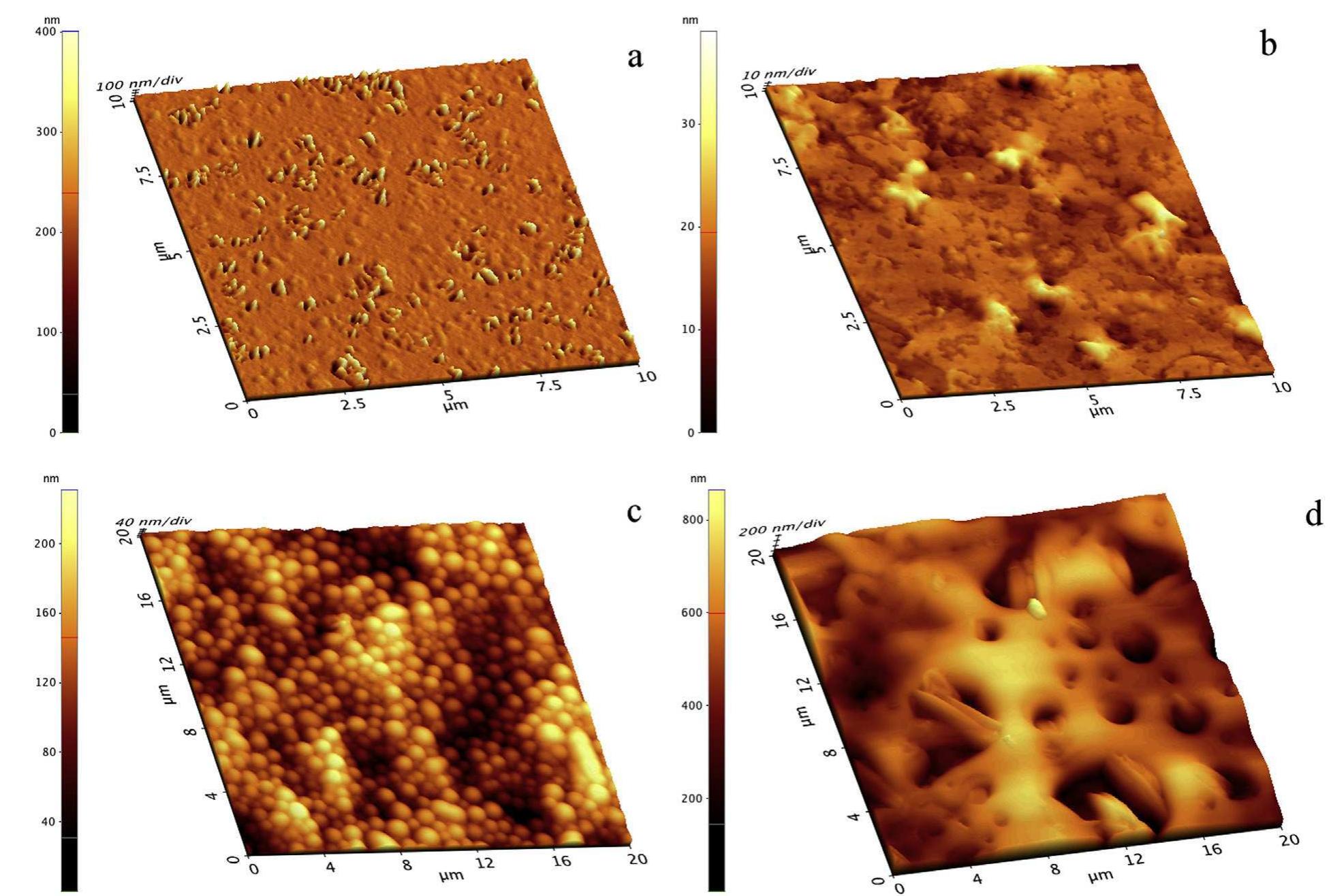 Afm topography images of: (a) a film of mowilith dm5, before