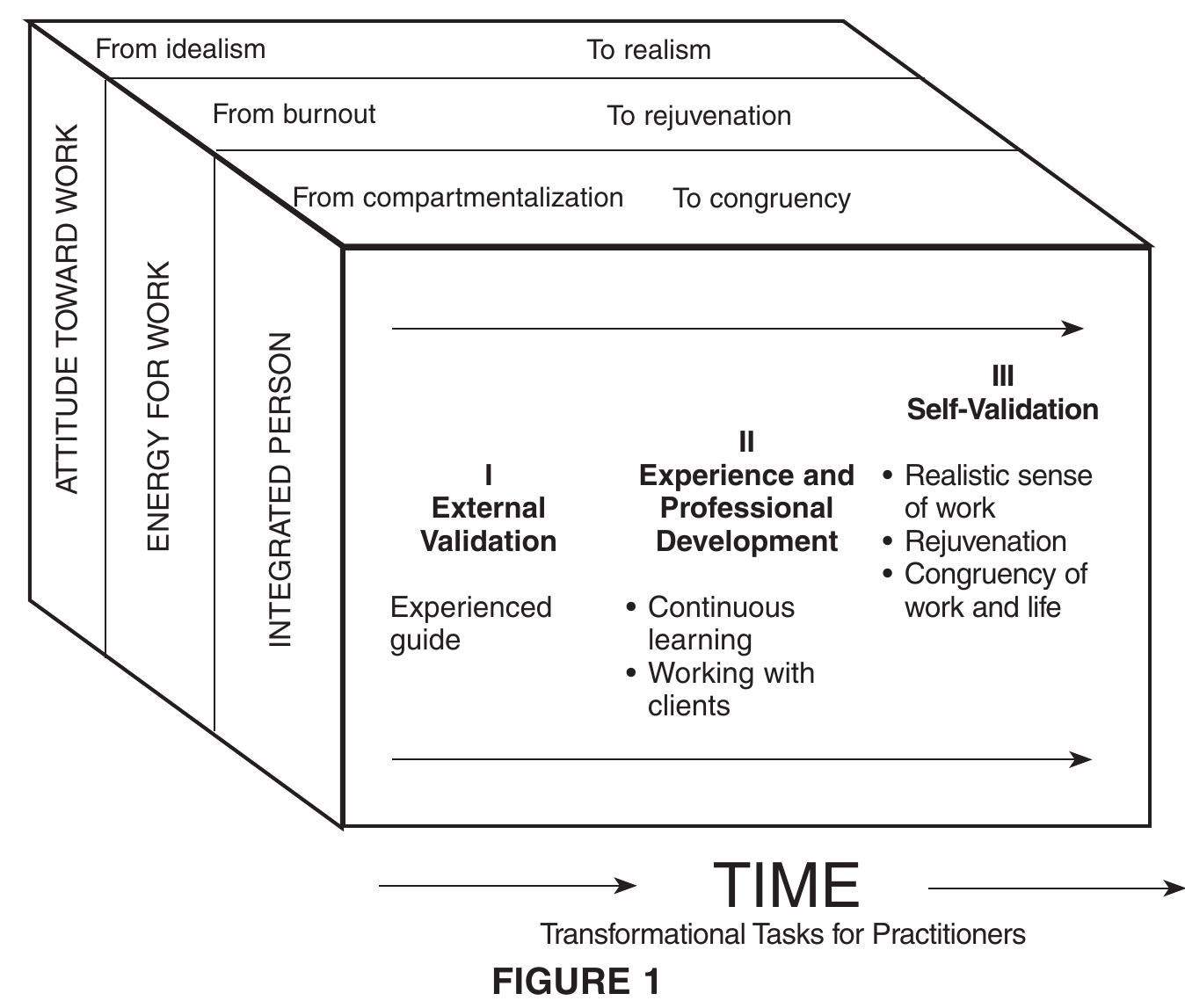 (PDF) Professional Identity Development: A Grounded Theory of ...