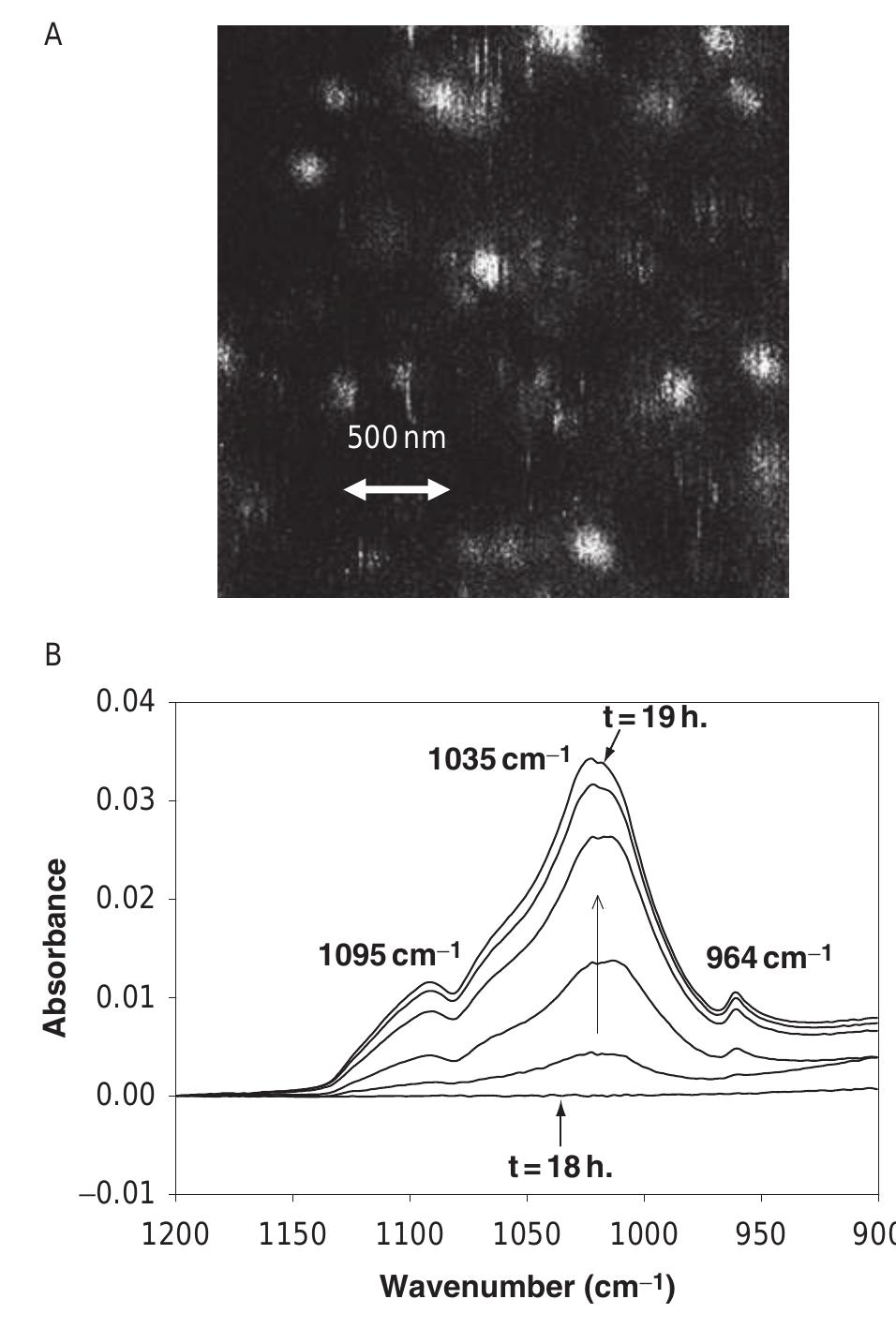 PDF) Liposome Embedding into Polyelectrolyte Multilayers: A