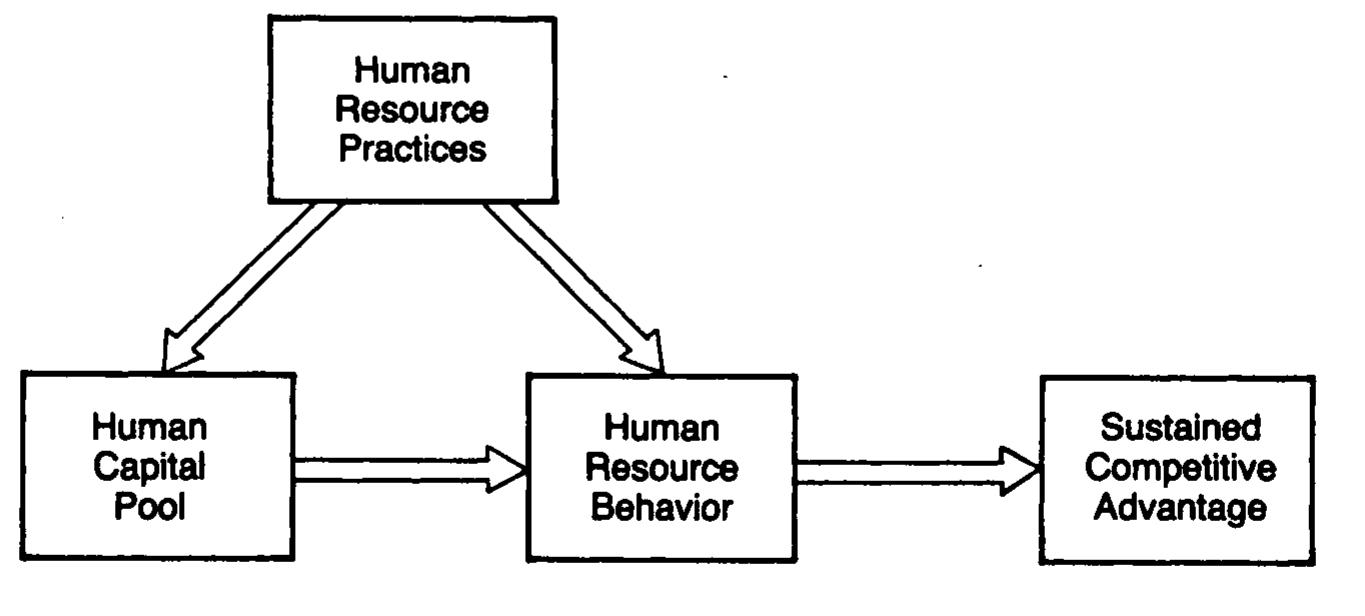 (PDF) Human Resources as a Source of Sustained Competitive Advantage