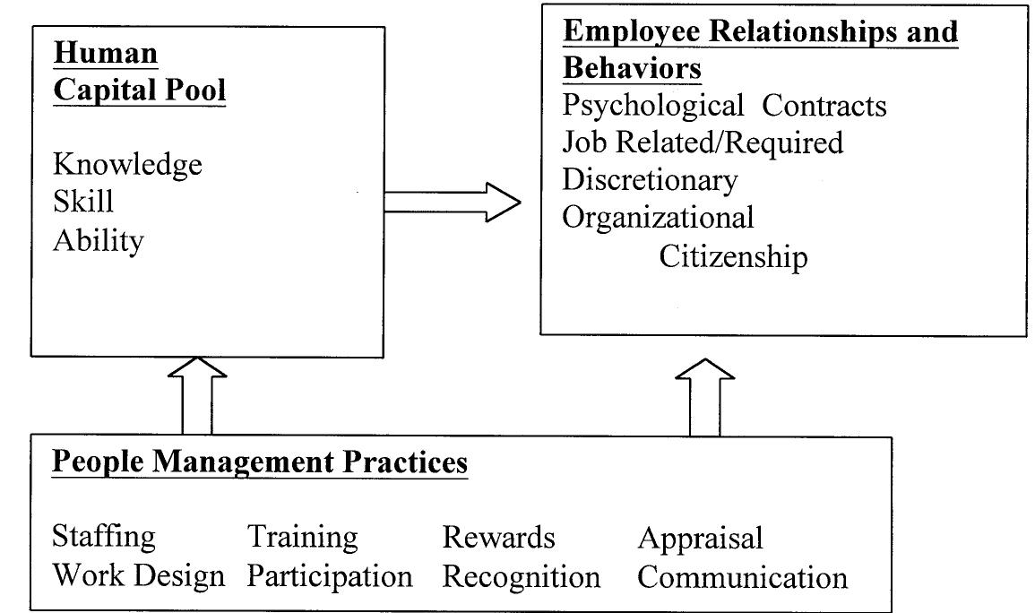 Figure 1 - from Human resources and the resource based view