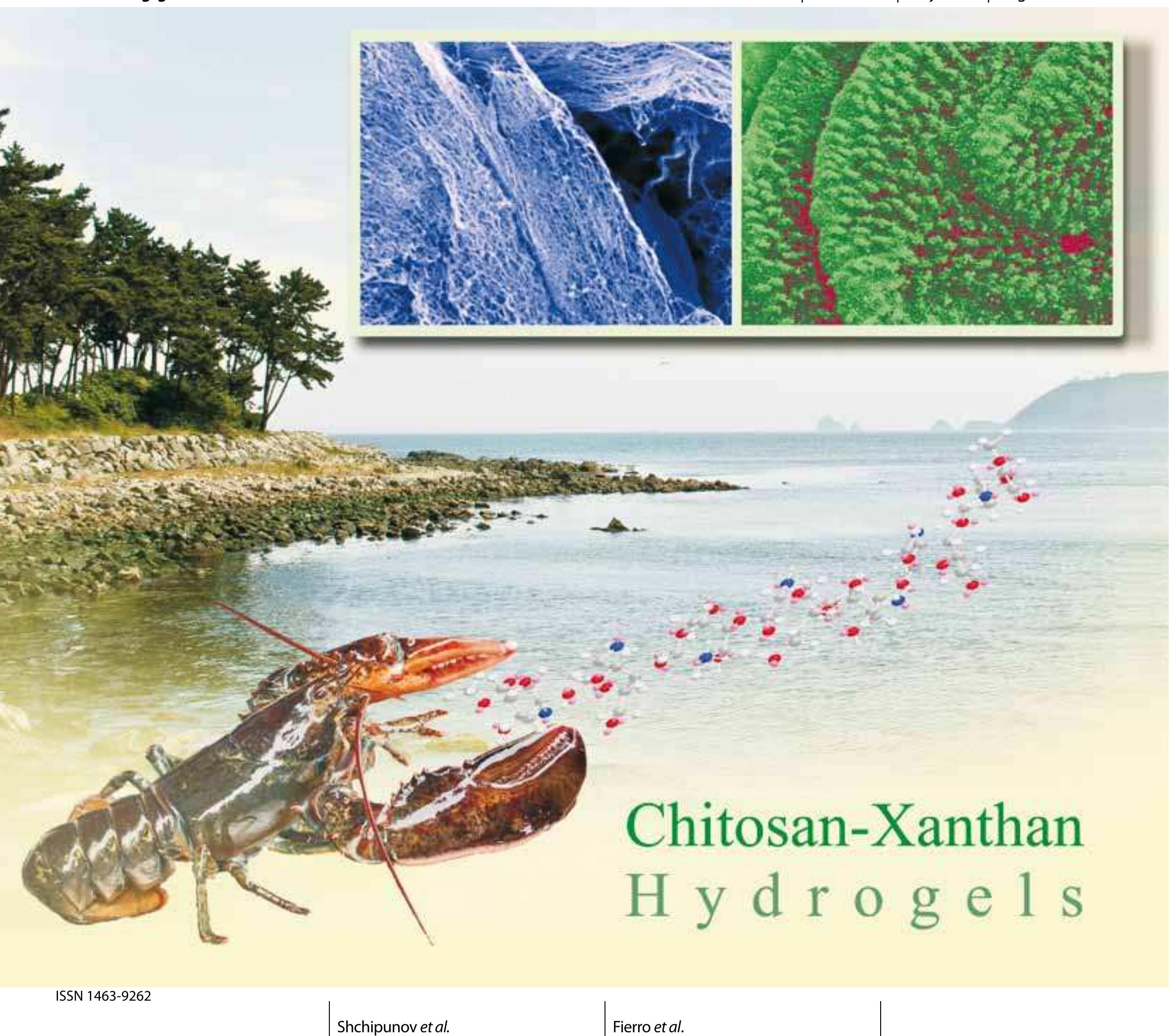 Acidulating Structural formulae of chitosan in charged and noncharged