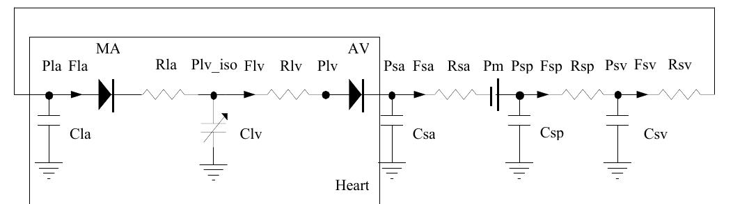 Figure 3 - from A Mathematical Model of the Cardiovascular