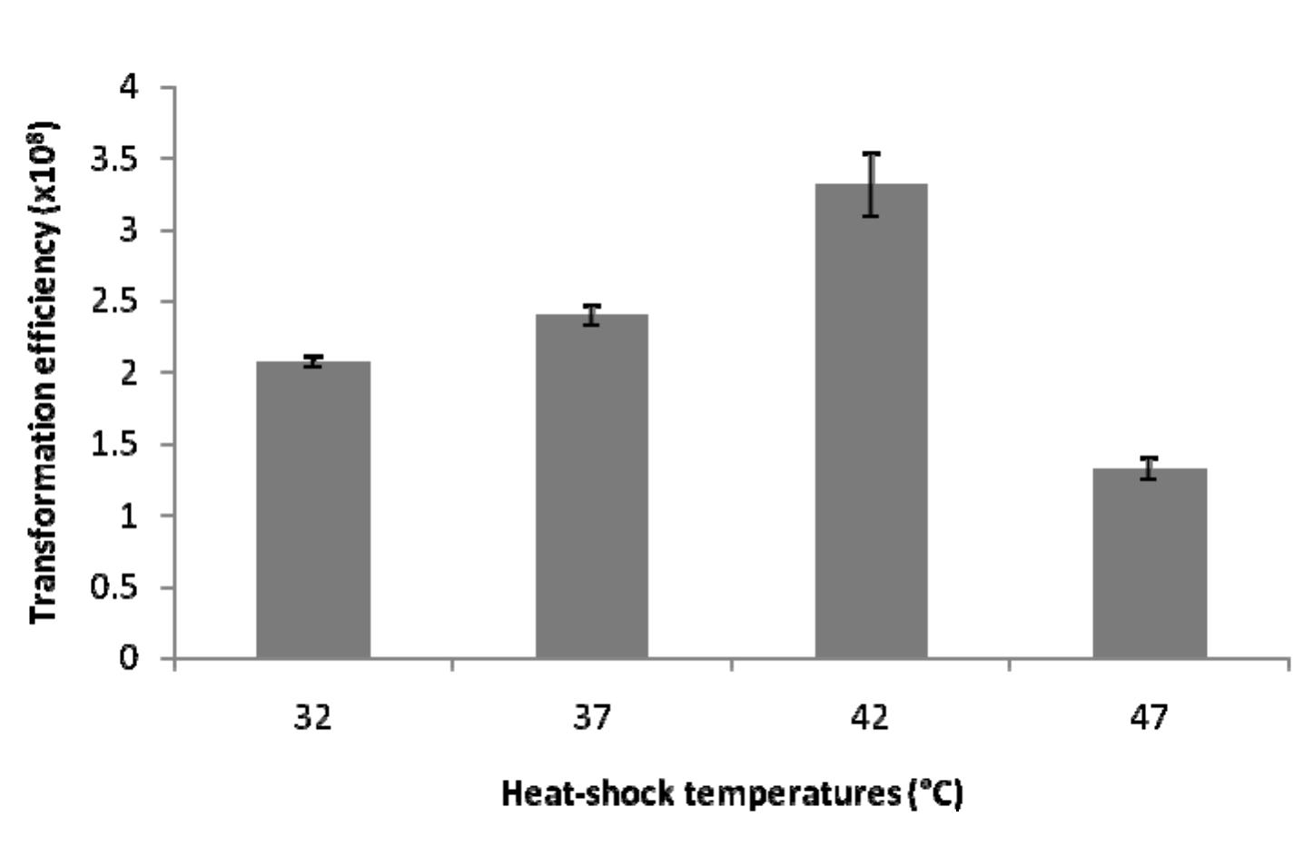 (PDF) Plasmid DNA Transformation in Escherichia Coli: Effect of Heat ...