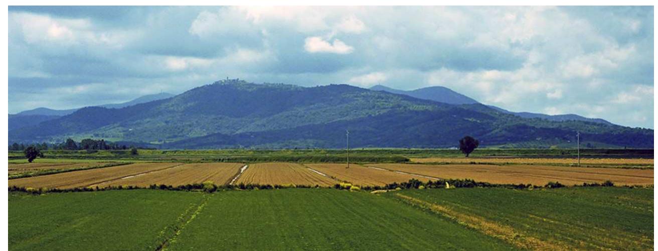 Fig. 1 View of the Vetulonian mound from the southeast (photo: C. Colombi).  The aim of the current research project is therefore to evaluate first the original documentation of the 19" and early 20" century excavations in order to verify the grave assemblages of the individual burials and to re- construct a topographical map of the necropolis. The second aim is to establish the typology of fibulae and ceramic vessels in order to position the graves chronologically. Thirdly and finally, the development of the cemetery as a whole shall be analysed, addressing several questions: how did the location of the burials develop through time? Are the graves organ- ised in groups, and how? What is the composition of the corredi? How are the grave goods distributed with regard to status and gender, and can we trace a specific development or pattern? Is such an analysis even possible for a cemetery that has not been excavated with modern techniques? 