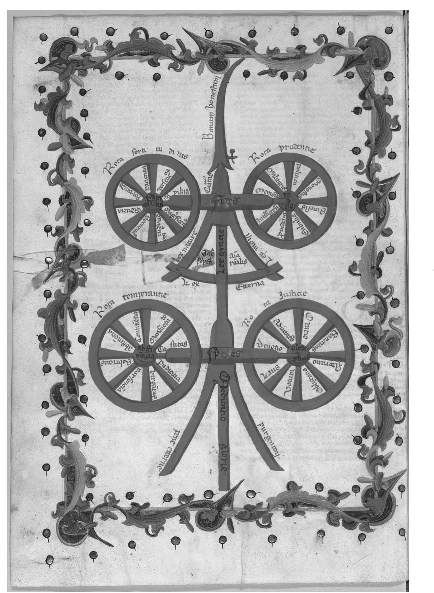 4. The Carrara Arms in the Paris De carru carrariensis, fol. 9v. Reproduced by permission of the Bibliotheque Nationale de France 