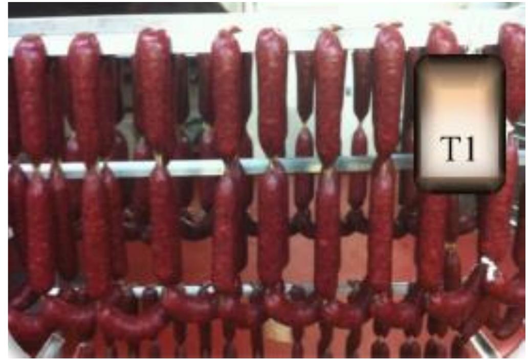Figure 15 - from Quality and Shelf Life of Fermented Lamb