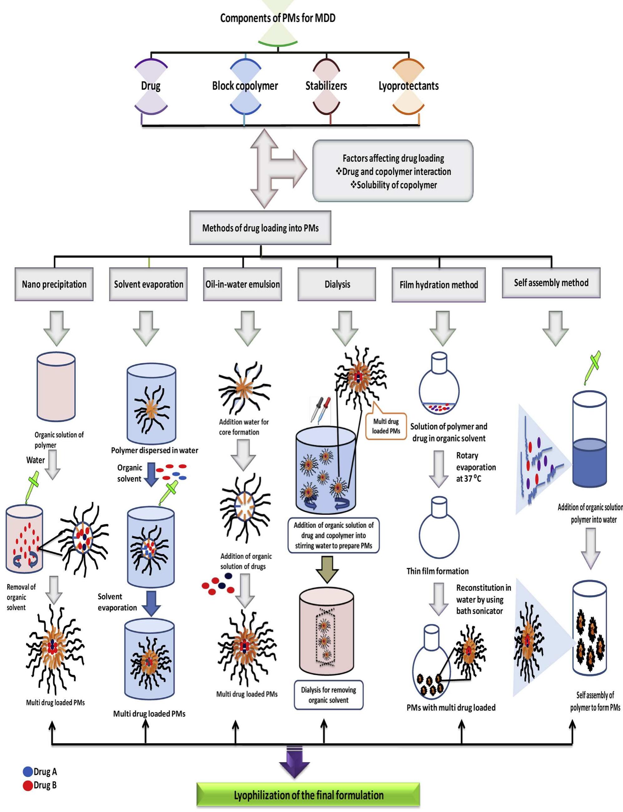 Figure 3 - from Micellar Carriers for the Delivery of
