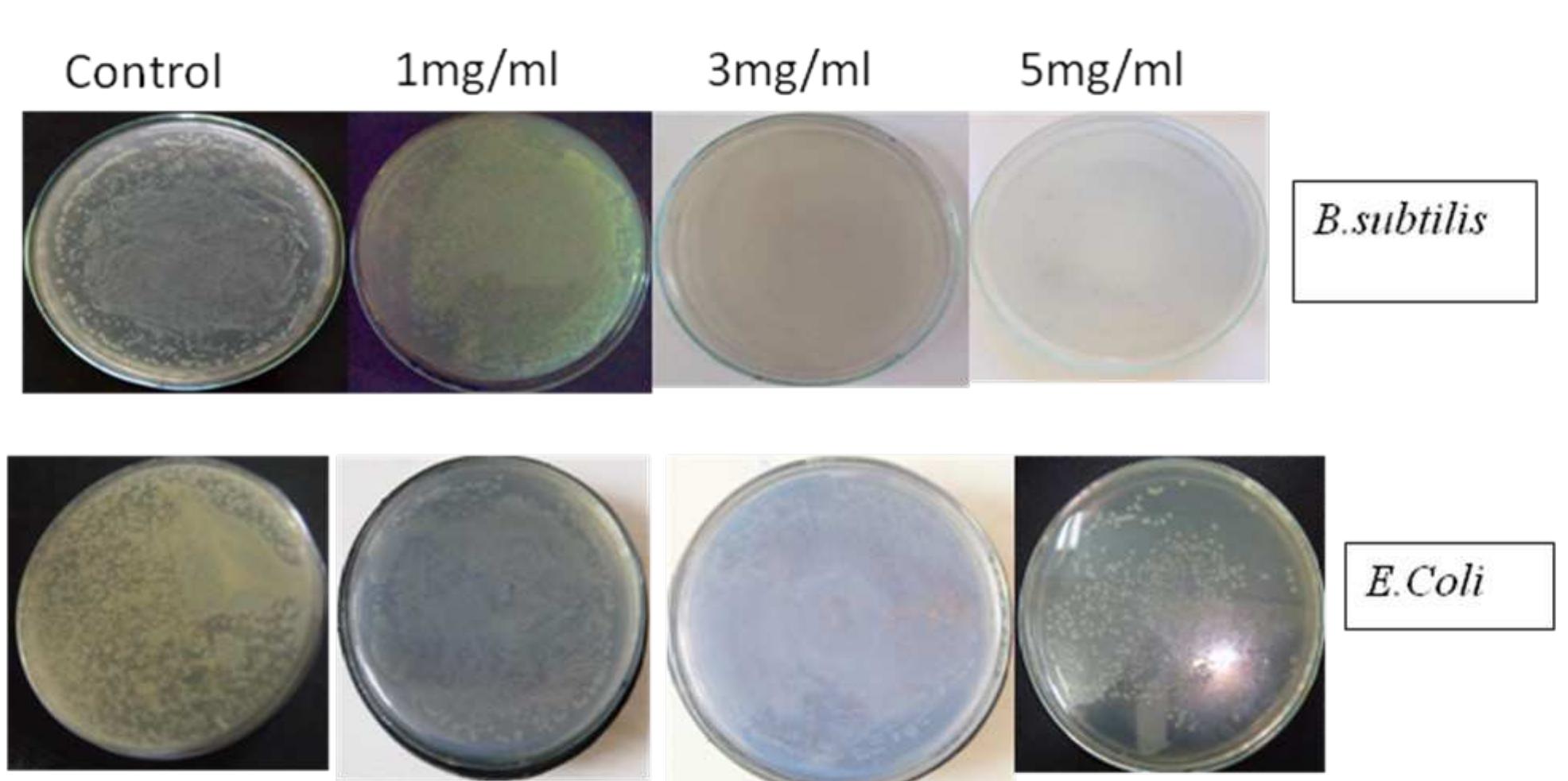 (PDF) Green Synthesis of Copper Nanoparticles and their Antibacterial ...