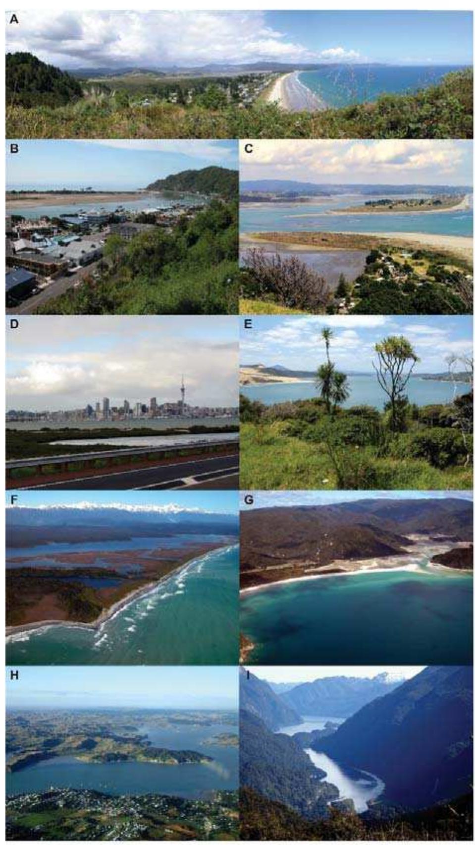 (PDF) The many uses and values of estuarine ecosystems