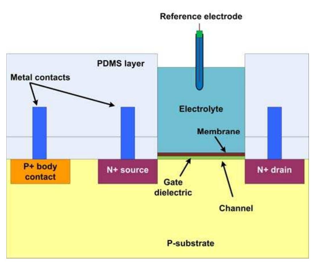 Figure 13 - from Microfabricated Reference Electrodes and