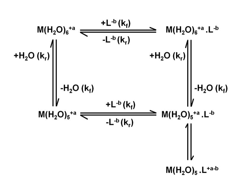 Schematic representation of the reaction mechanism for