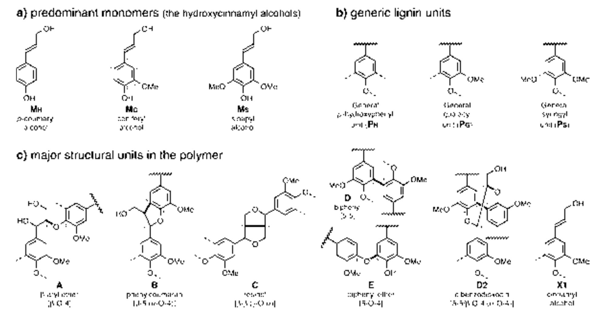 Figure 6 - from Lignins: Natural polymers from oxidative