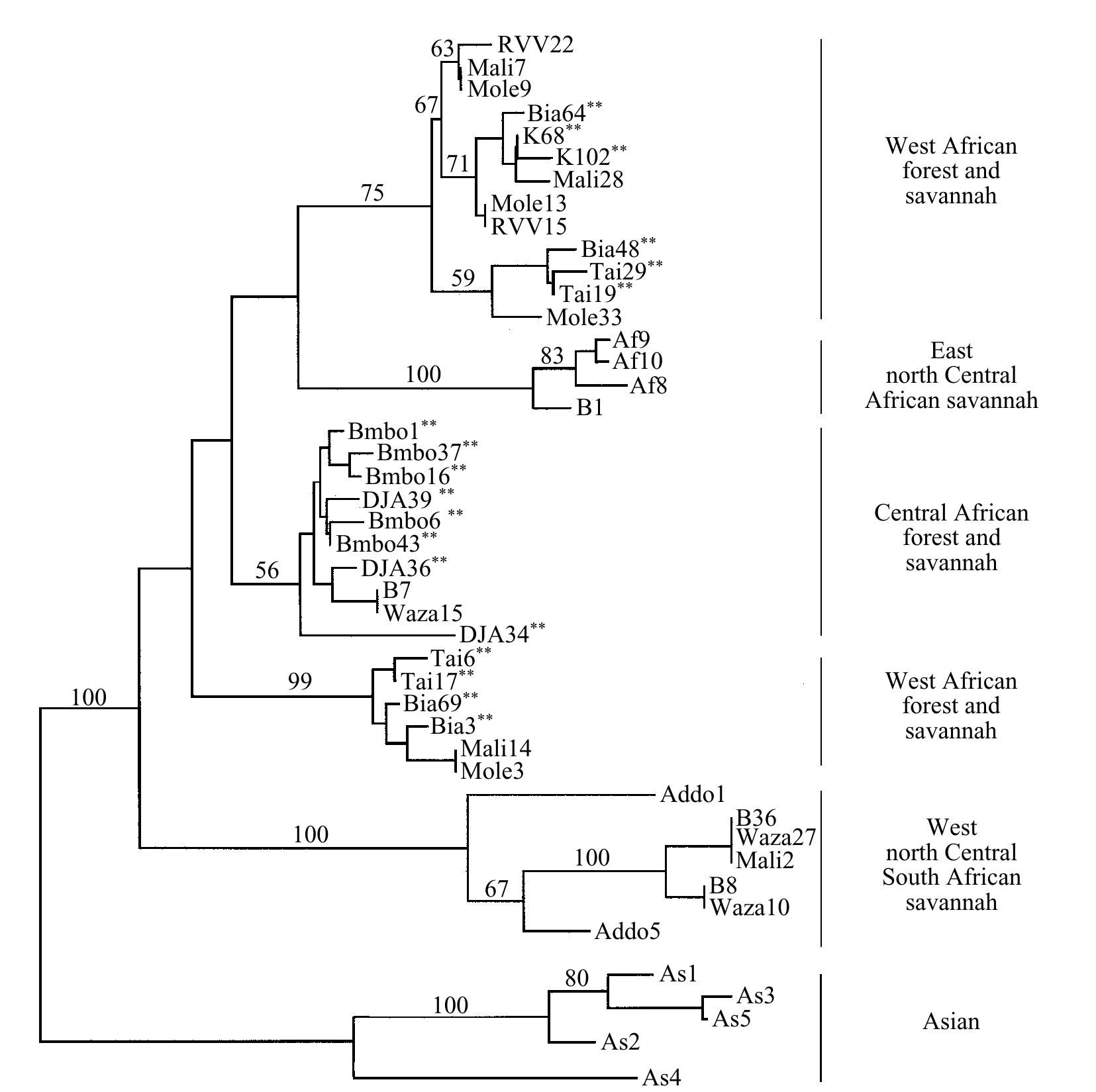 (PDF) The evolution and phylogeography of the African elephant inferred ...