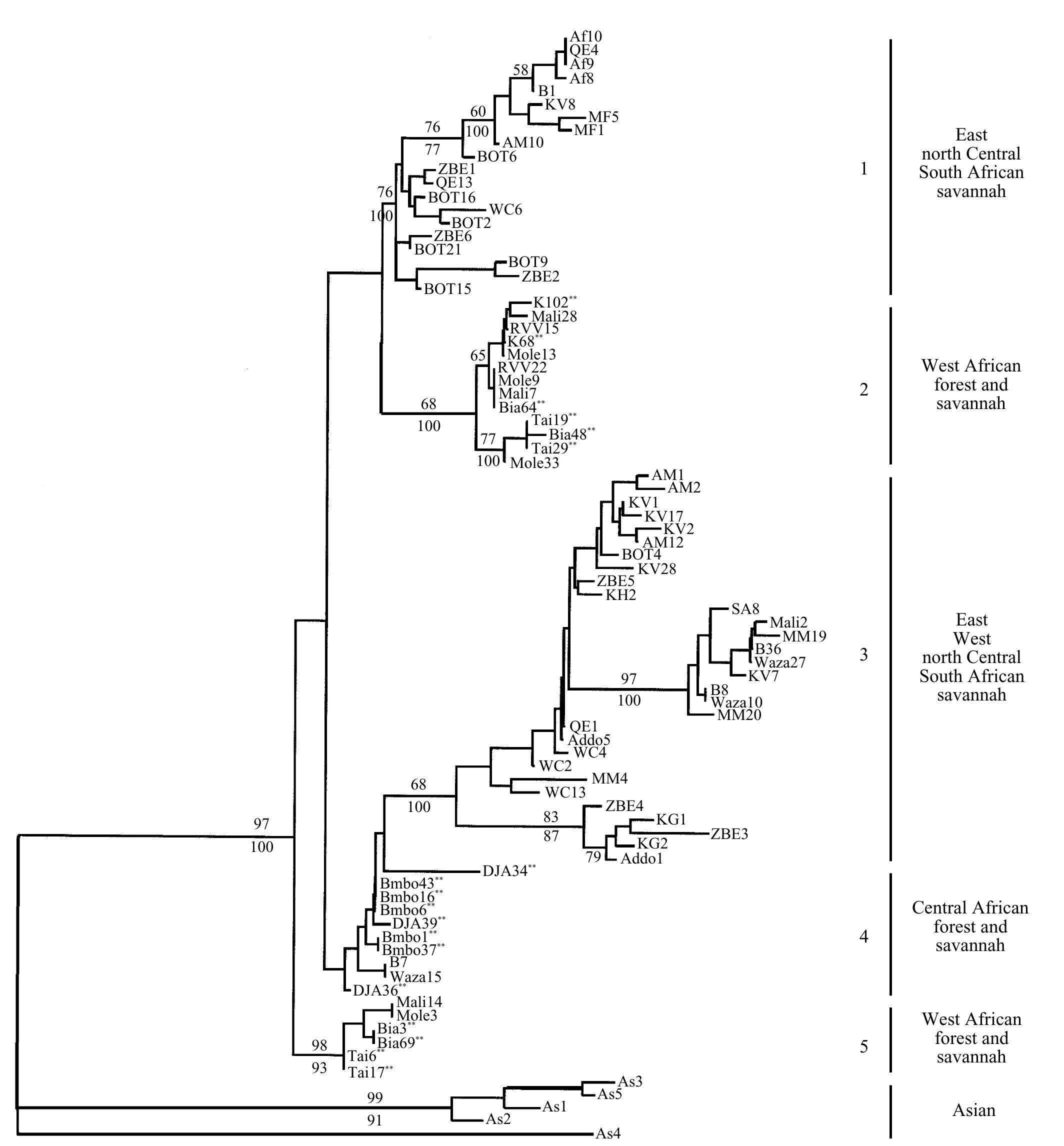 (PDF) The evolution and phylogeography of the African elephant inferred ...