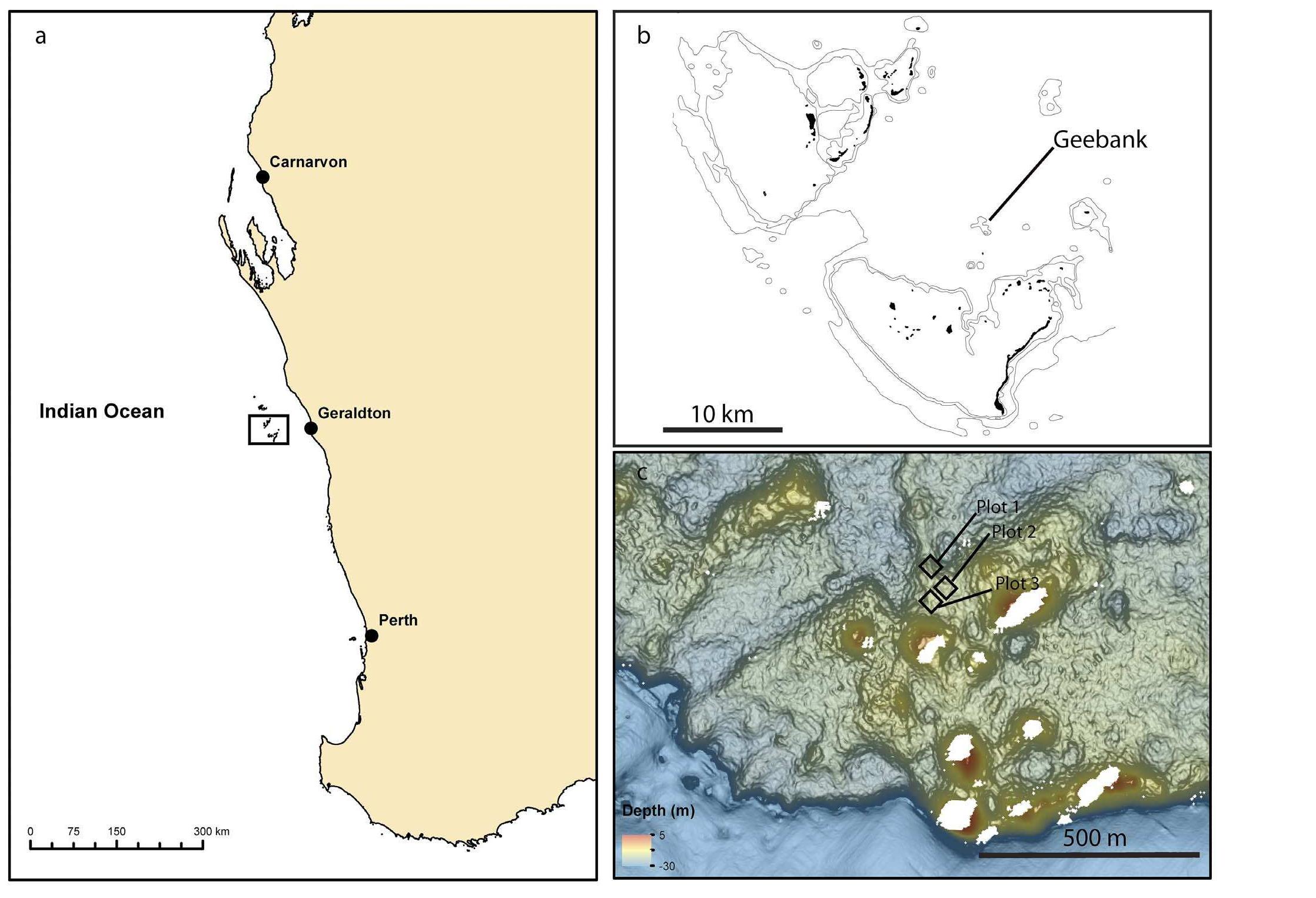 ‘igure 1. Location of the Houtman Abrolhos Islands, Western Australia (a); location of the study site Geebank between the Easter and Southe:
Pelseart) island groups (b). Black squares indicate the location of replicate plots (c).

