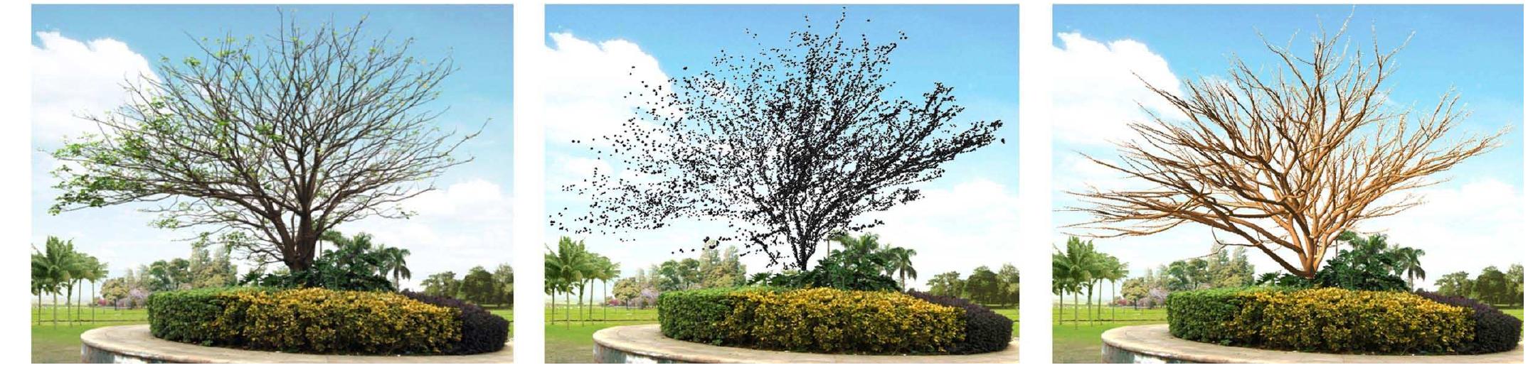 (PDF) Automatic Reconstruction of Tree Skeletal Structures from Point ...