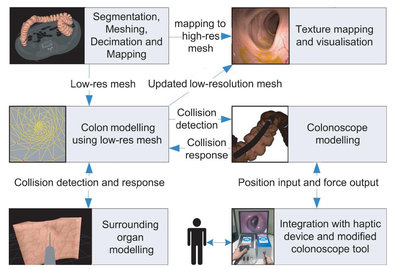 (PDF) DEVELOPING A NEXT GENERATION COLONOSCOPY SIMULATOR